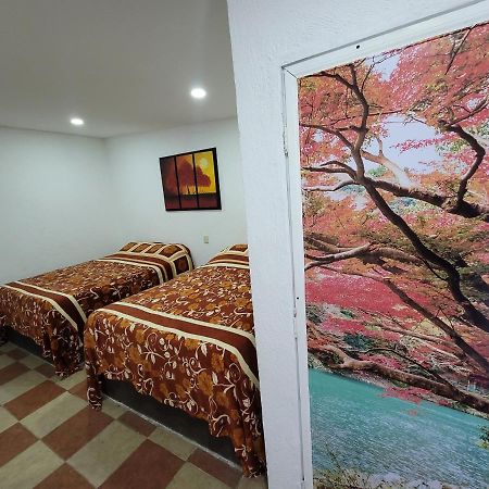 Hotel Vicalis San Juan Teotihuacán Extérieur photo